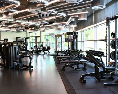 gb-botanica-gym-link-spaces-slough-1024×683 gb-botanica-gym-link-spaces-slough-1024x683